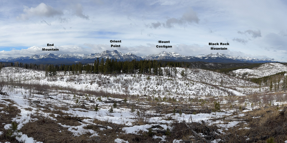 The best viewpoint of the day.