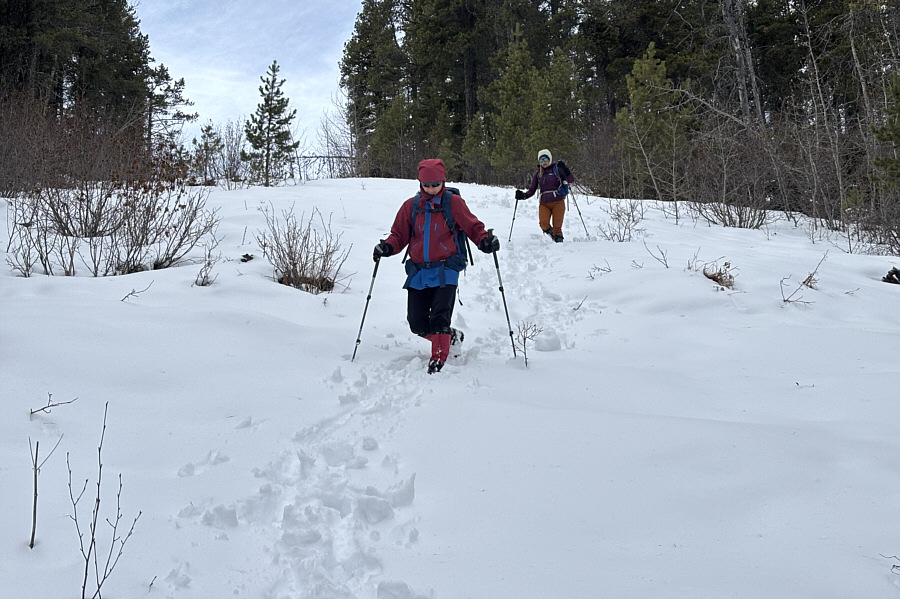 Maybe we'll come back someday to ski this cut line...
