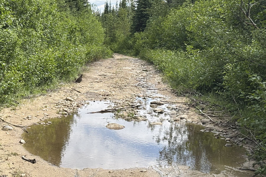 This is actually one of the better sections of the road!
