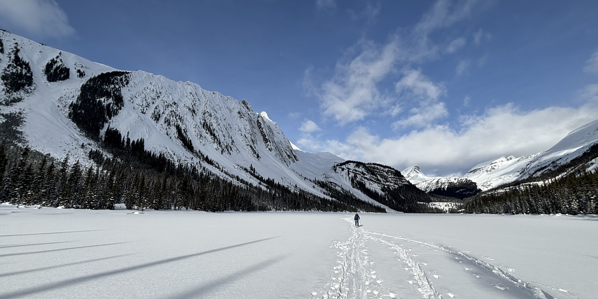 Still have another whopping 660 metres of elevation gain from here to Ogden Bench!