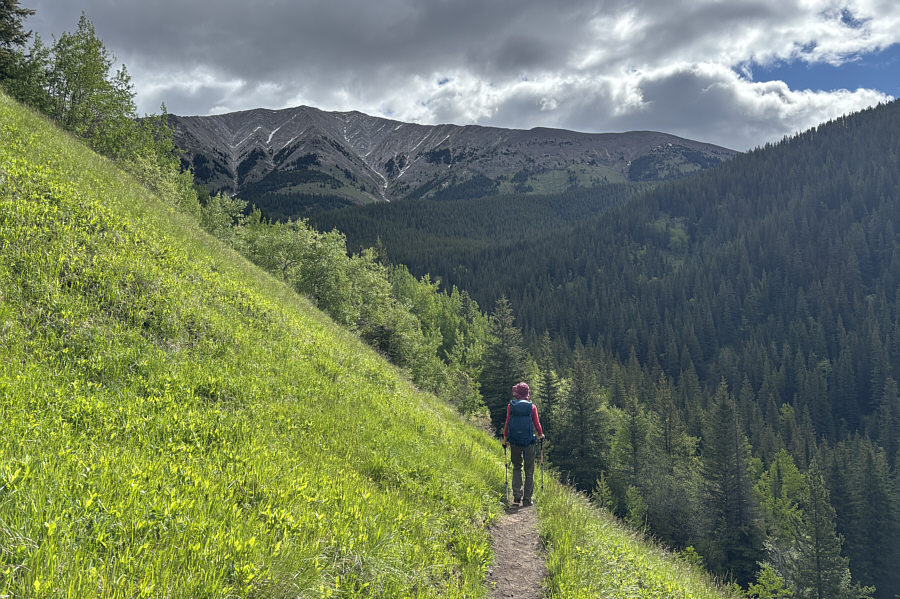 So nice to hike on an excellent trail!