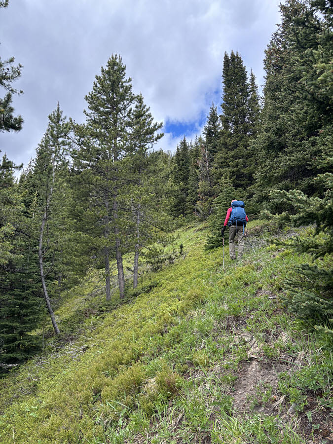 A very steep grind, but at least there isn't much bushwhacking!