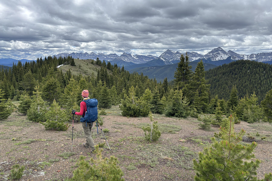 The southern high point looks distinctly higher, but my GPS showed it to be only marginally so.