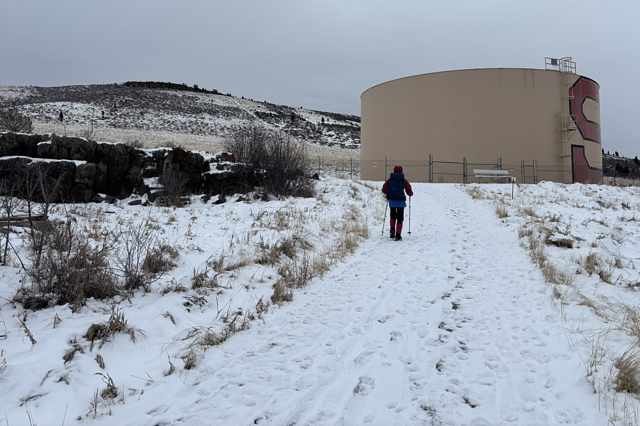 Surprisingly, there's actually a disc golf course here!