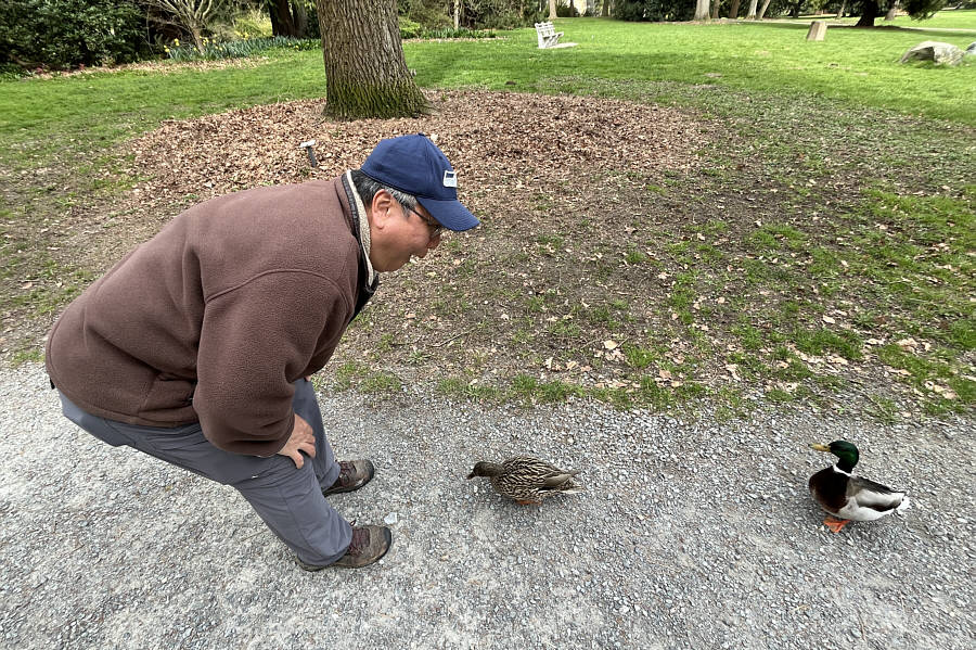 Quack, quack!