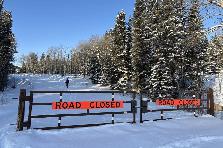 This gate will open in 61 days.