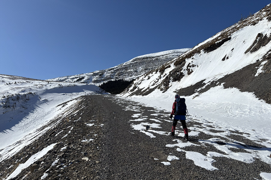 I could've driven this!