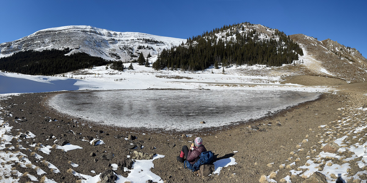 If only some sheep would wander through here...