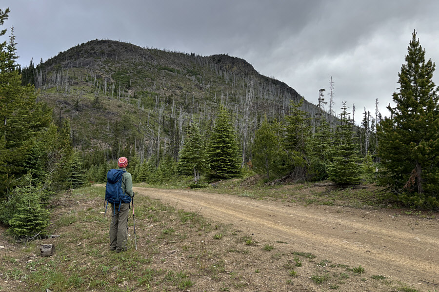 It might be possible to climb the south ridge, but why make things complicated?
