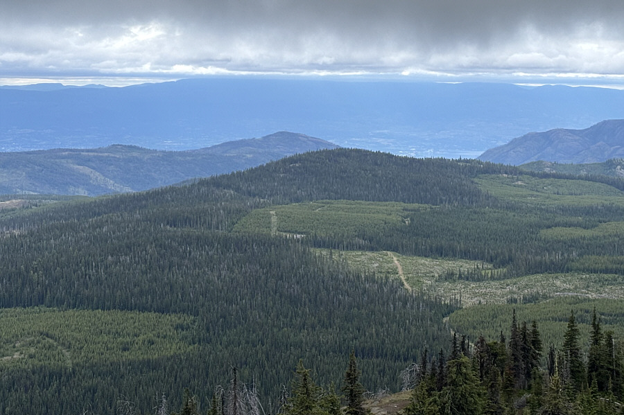 Blue Grouse Mountain doesn't look like much from here!
